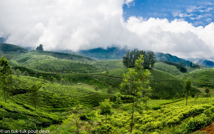 MUNNAR.jpg