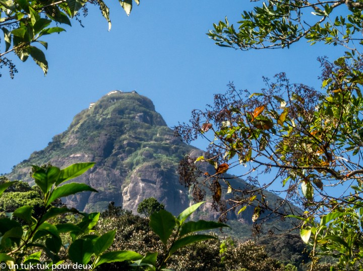 adams peak-16.jpg