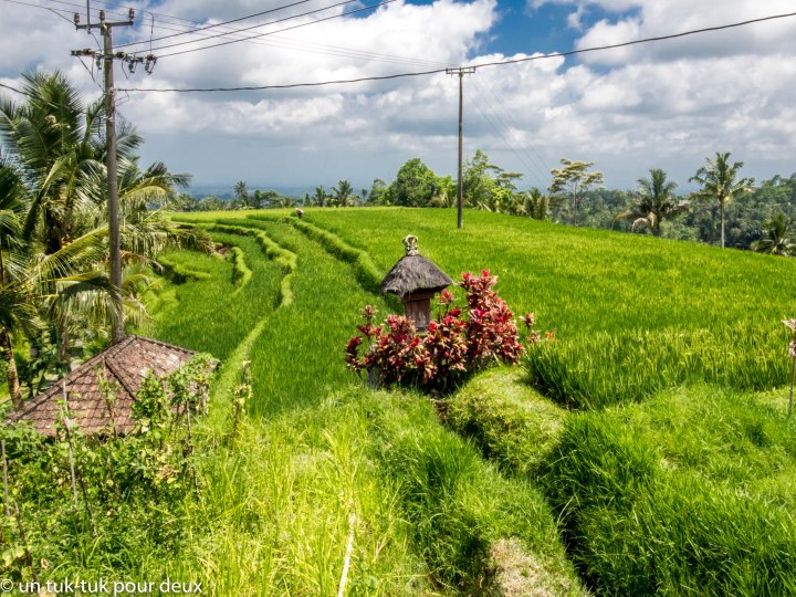 a-ubud nord-10.jpg