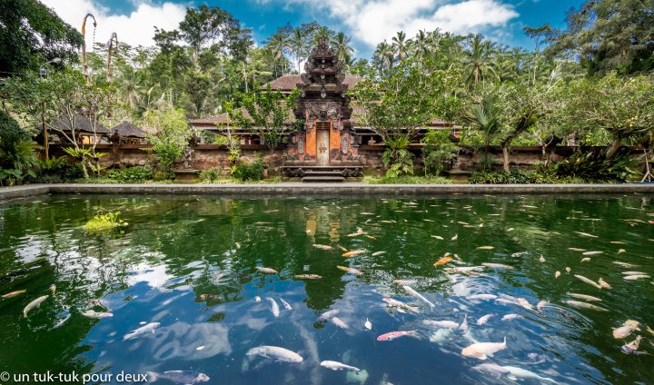 A-Ubud-nord est-38.jpg