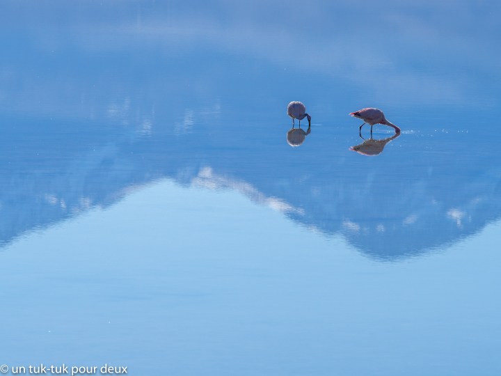Parque nacional Nevado de Tres Cruces, une autre merveille du&nbsp;Chili