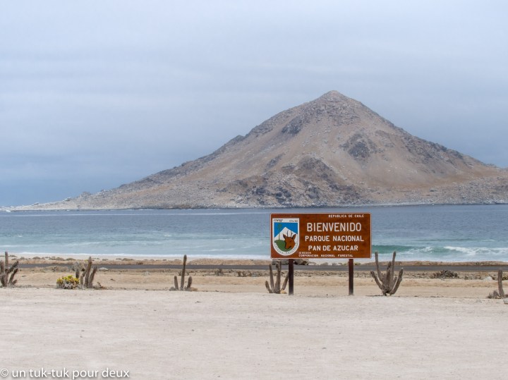 Le Parque Nacional Pan de Azúcar, comme un bon petit&nbsp;dessert