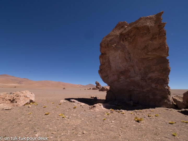 Taratata, salar de&nbsp;Tara!