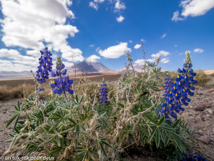 Chili: le mot de la fin, bilan et&nbsp;itinéraire