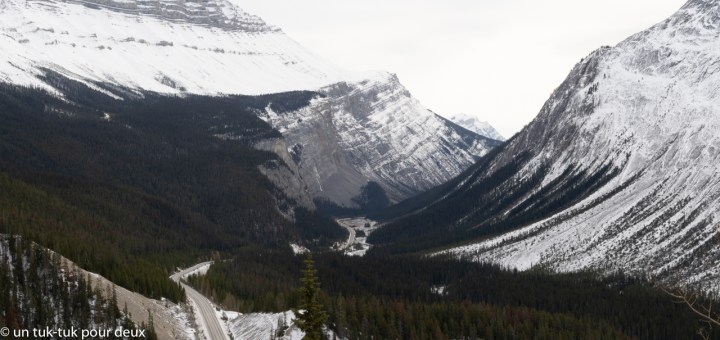 Maître corbeau fait du charme sur le Columbia&nbsp;Icefield