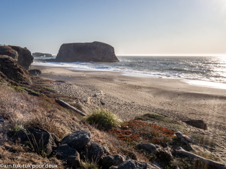 De Sonoma à Point Reyes une belle&nbsp;surprise!