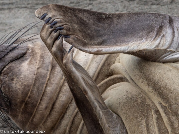 Think Big Sur… avec Hearst&nbsp;Castle!
