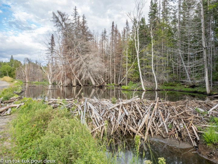 Lac Castors, Forillon