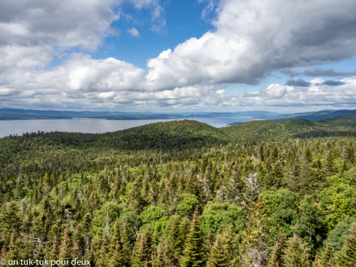 Mont-Alban, Forillon