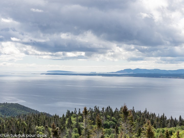 Mont-Alban, Forillon