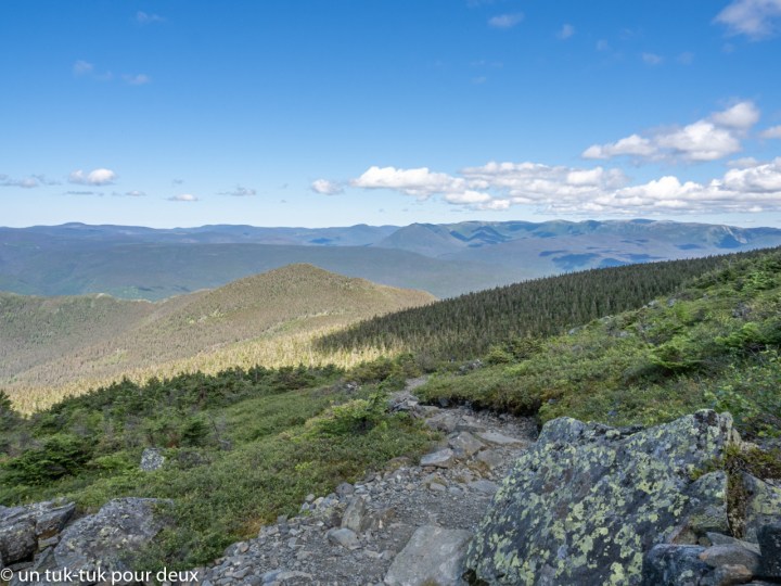 Sommet du Mont-Albert