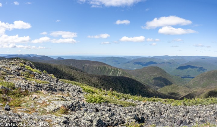 Sommet du Mont-Albert