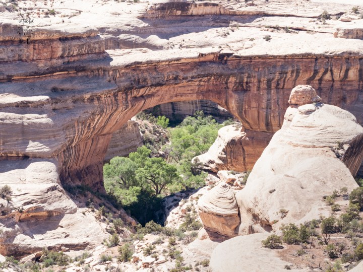 Trois arches rien que pour nous deux au Natural Bridges National&nbsp;Monument