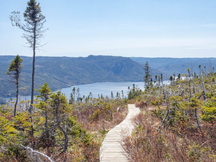 Blow Me Down et Gros-Morne des noms bien inspirés et&nbsp;inspirants!