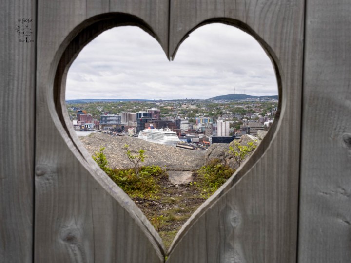 Les girouettes font un retour vers l&rsquo;ouest! Au menu, St. John&rsquo;s la capitale, des artisans et des&nbsp;animaux!