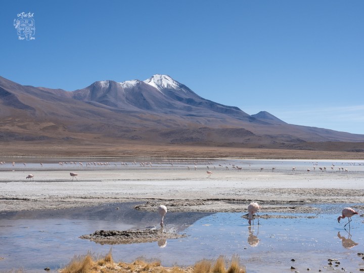 Découvrir une autre planète avec le Grand tour du Sud Lipez et du Salar d&rsquo;Uyuni! 3 de&nbsp;4