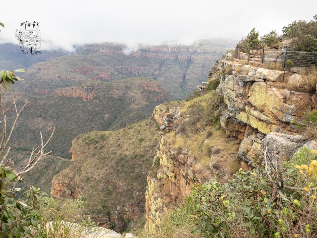 Vue panoramique d'une falaise surplombant un canyon, avec une végétation variée et des nuages dans le ciel.