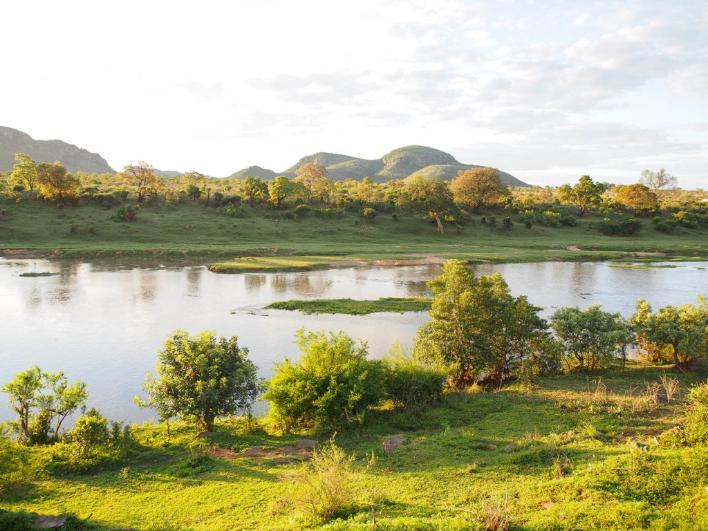Un paysage naturel avec un ruisseau tranquille, des collines verdoyantes à l'arrière-plan et des arbres luxuriants sur les rives.
